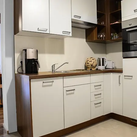 Steinergut Apartment Sankt Martin bei Lofer