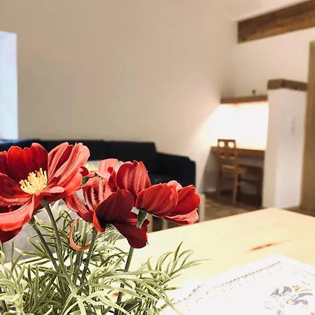 Steinergut Apartment Sankt Martin bei Lofer